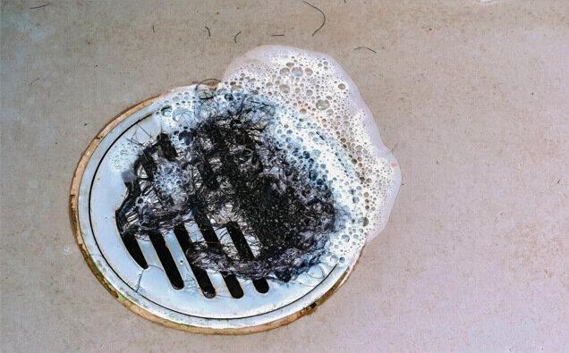 https://blockeddrainsbibralake.com.au/uploads/2025/07/blocked-shower-drains-76585.jpg