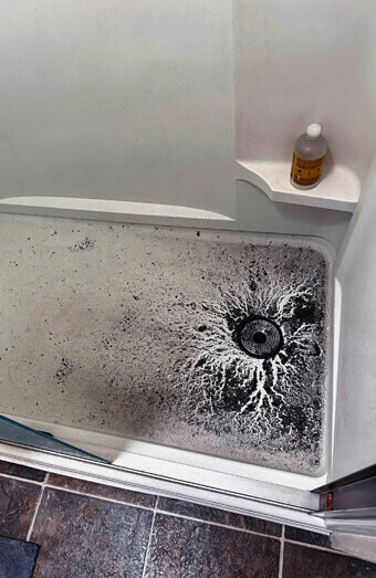 https://blockeddrainsbibralake.com.au/uploads/2025/07/blocked-shower-drains-83587.jpg
