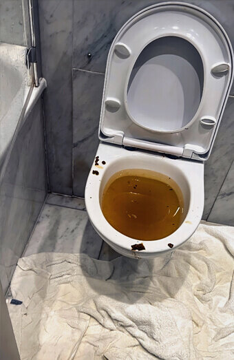 https://blockeddrainsbibralake.com.au/uploads/2025/07/blocked-toilet-27793.jpg