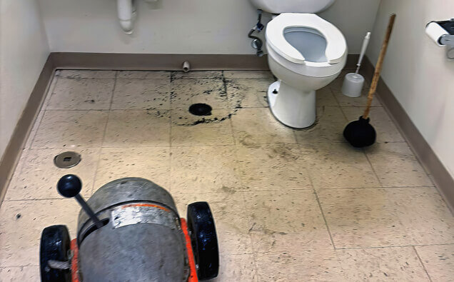 https://blockeddrainsbibralake.com.au/uploads/2025/07/blocked-toilet-36908.jpg